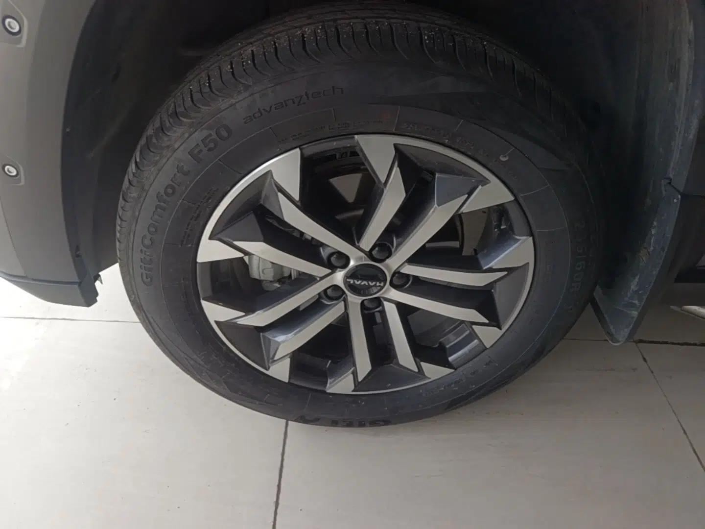 Haval H Dog 2023 1.5T Two-Wheel Drive Chao Ye Version Plus — миниатюра 9