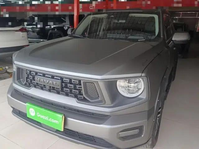 Haval H Dog 2023 1.5T Two-Wheel Drive Chao Ye Version Plus