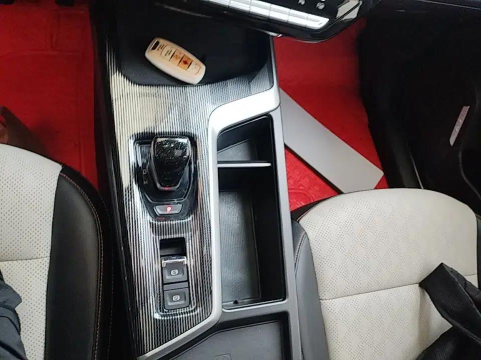 Haval LHERY 2021 GT Edition 1.5T Platinum Rabbit — миниатюра 13
