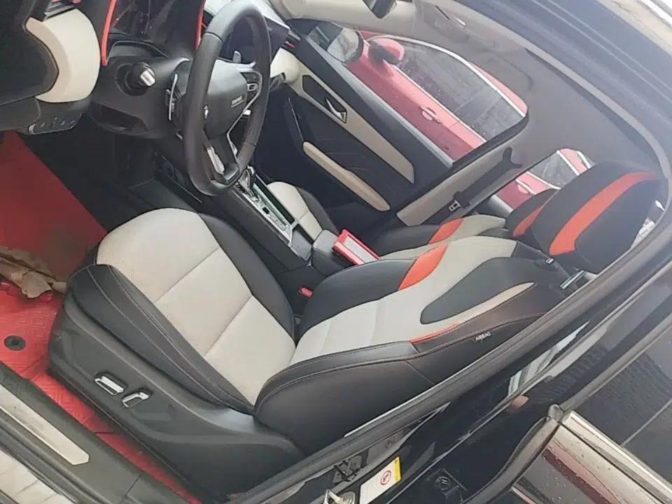 Haval LHERY 2021 GT Edition 1.5T Platinum Rabbit — миниатюра 14