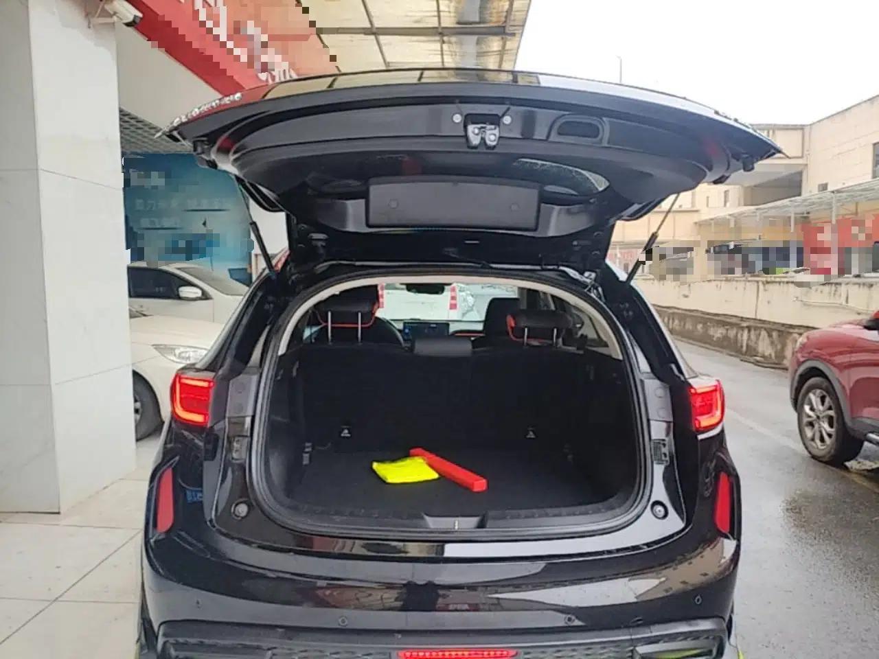 Haval LHERY 2021 GT Edition 1.5T Platinum Rabbit — миниатюра 16