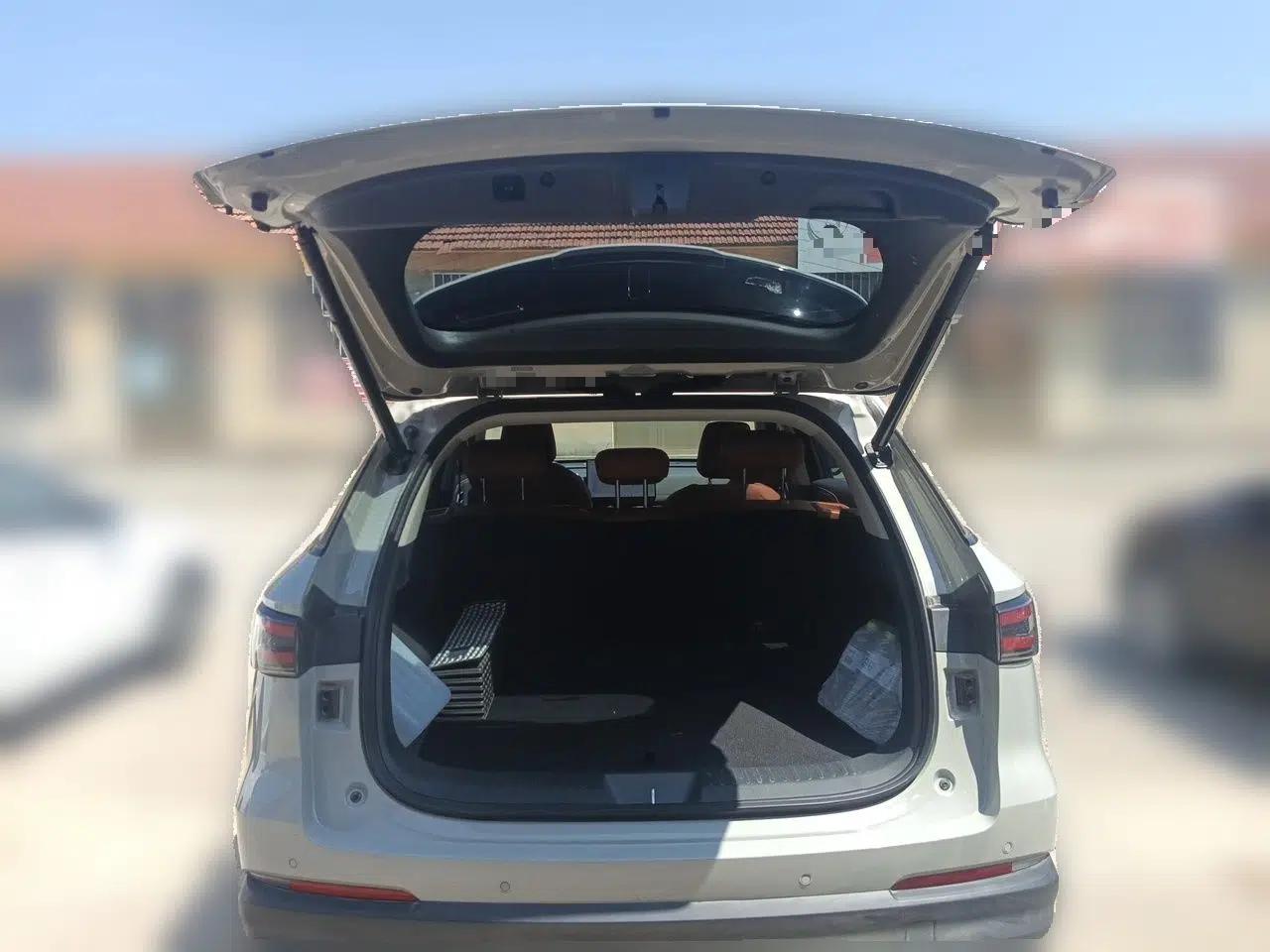 Haval Fierce Dragon Max 2025 Hi4 165 Plus Long-Range Version — миниатюра 20