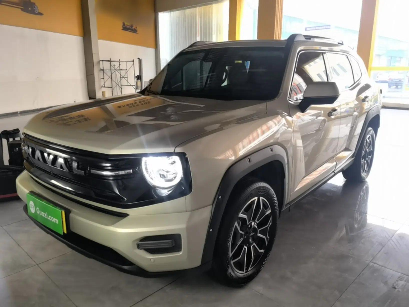 Haval H Dog New Energy 2026 Model Hi4 150km Trendy Electric Edition — миниатюра 1