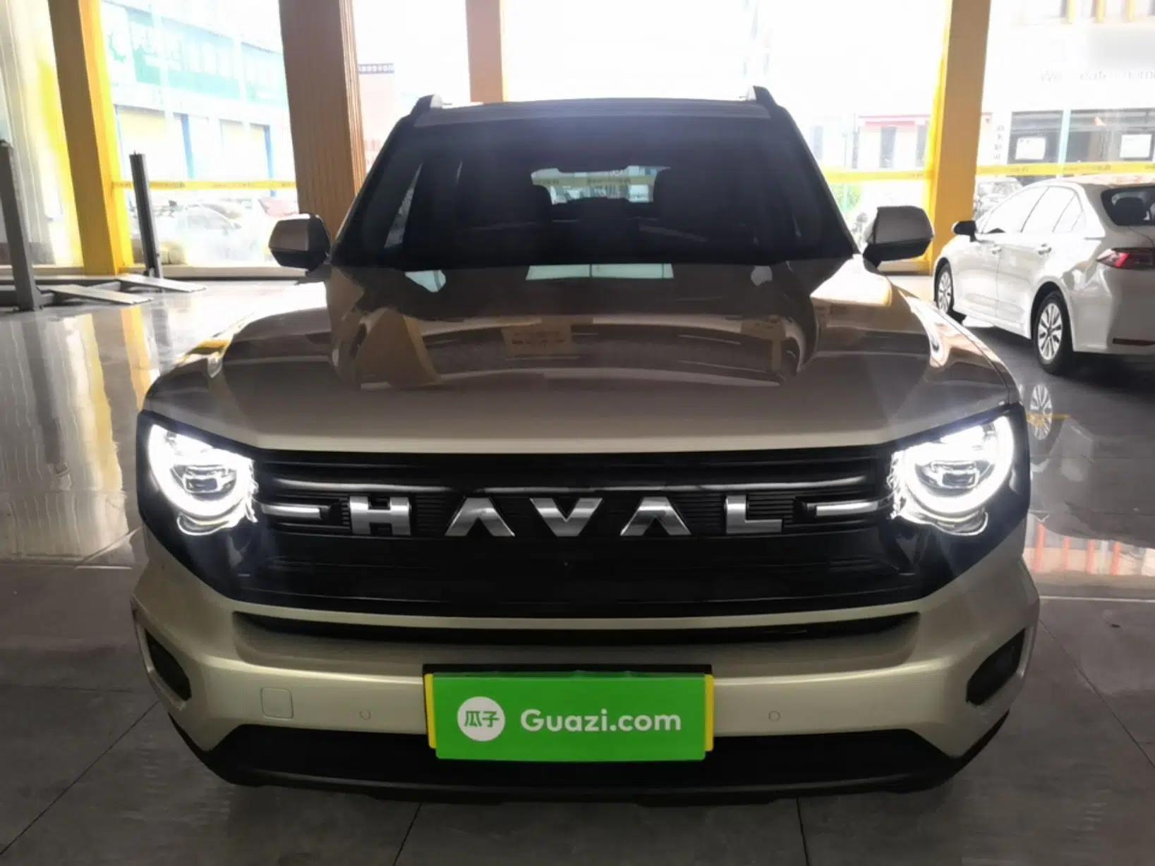 Haval H Dog New Energy 2026 Model Hi4 150km Trendy Electric Edition — миниатюра 2