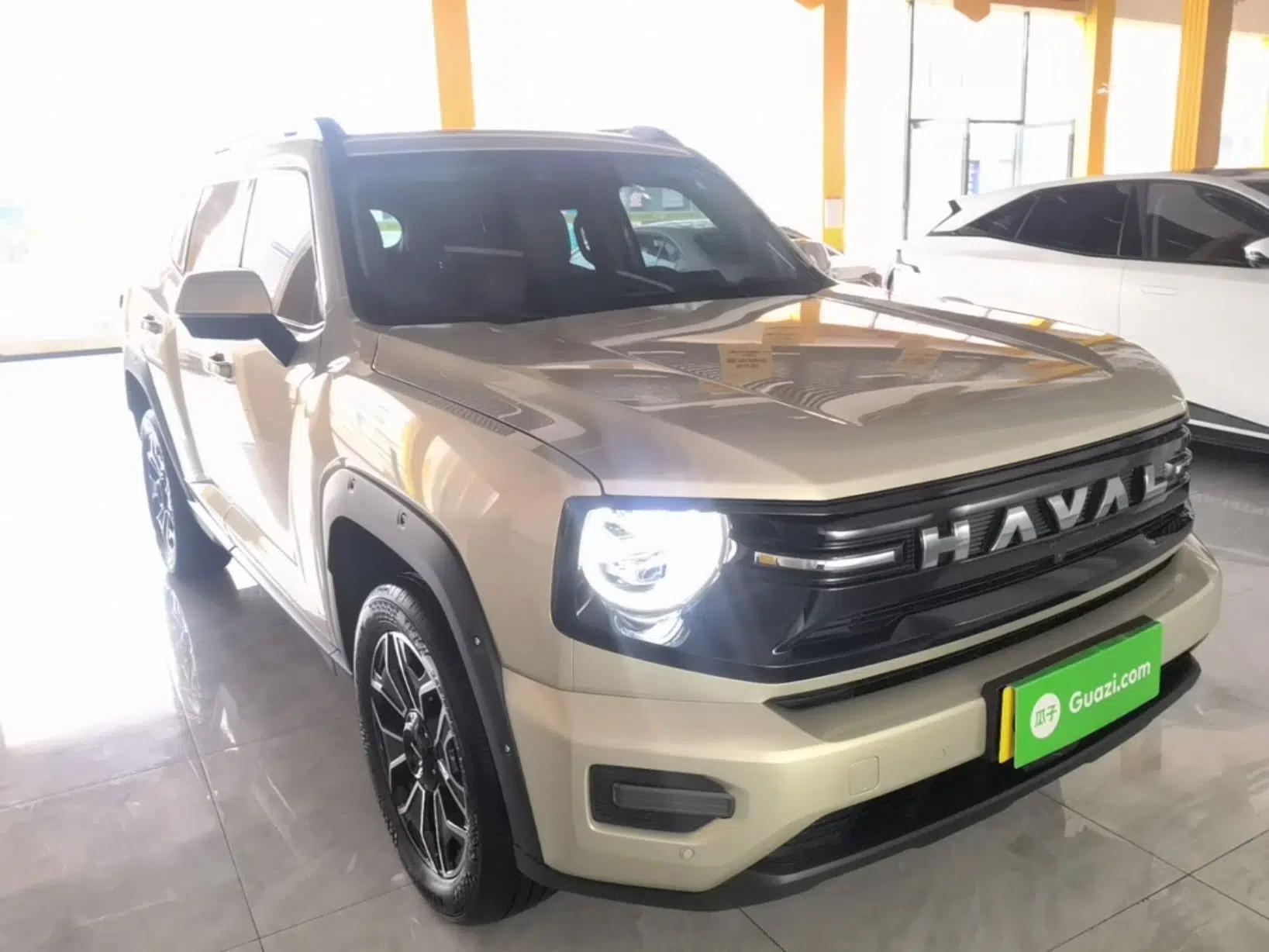 Haval H Dog New Energy 2026 Model Hi4 150km Trendy Electric Edition — миниатюра 3