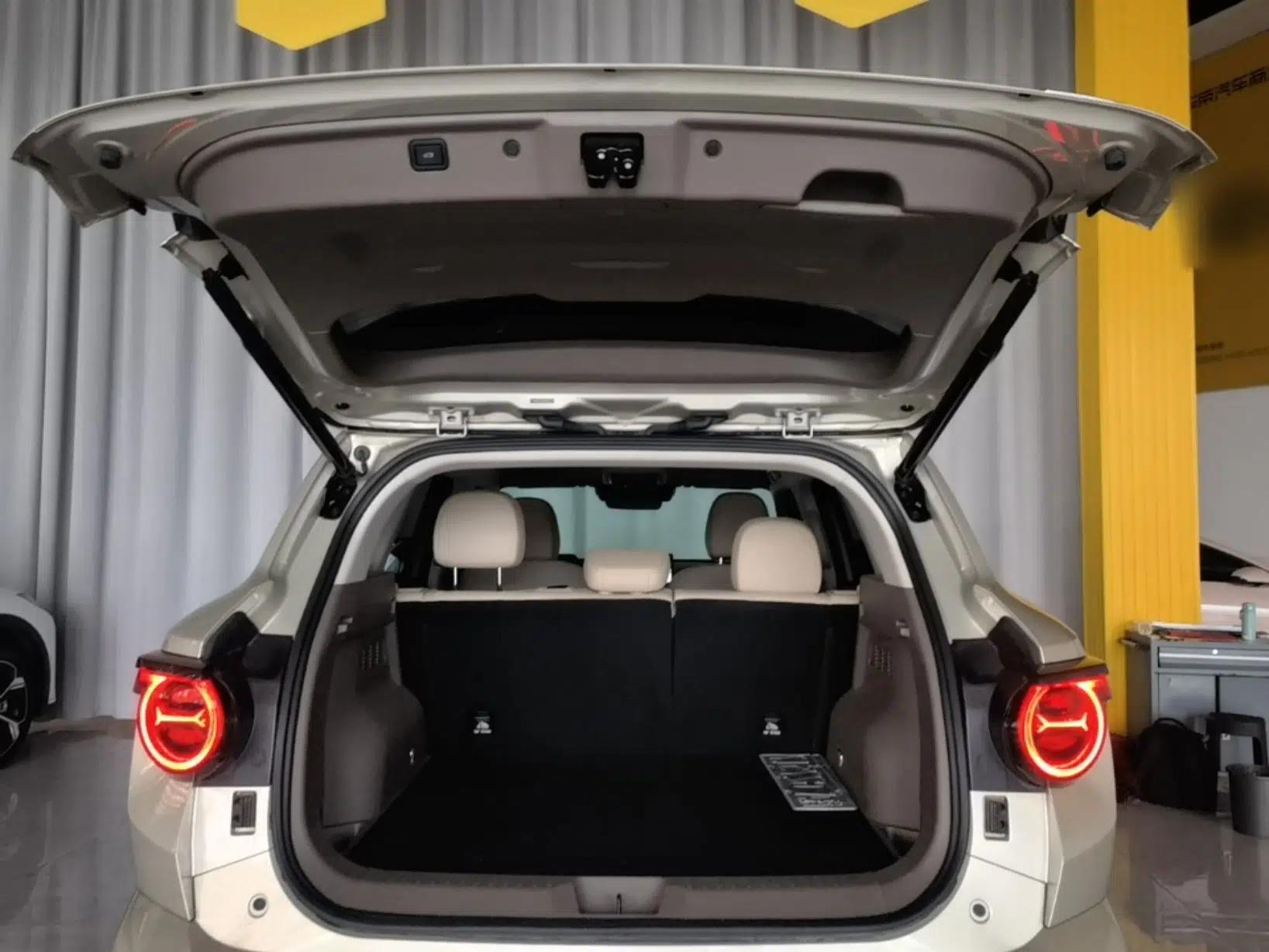Haval H Dog New Energy 2026 Model Hi4 150km Trendy Electric Edition — миниатюра 22
