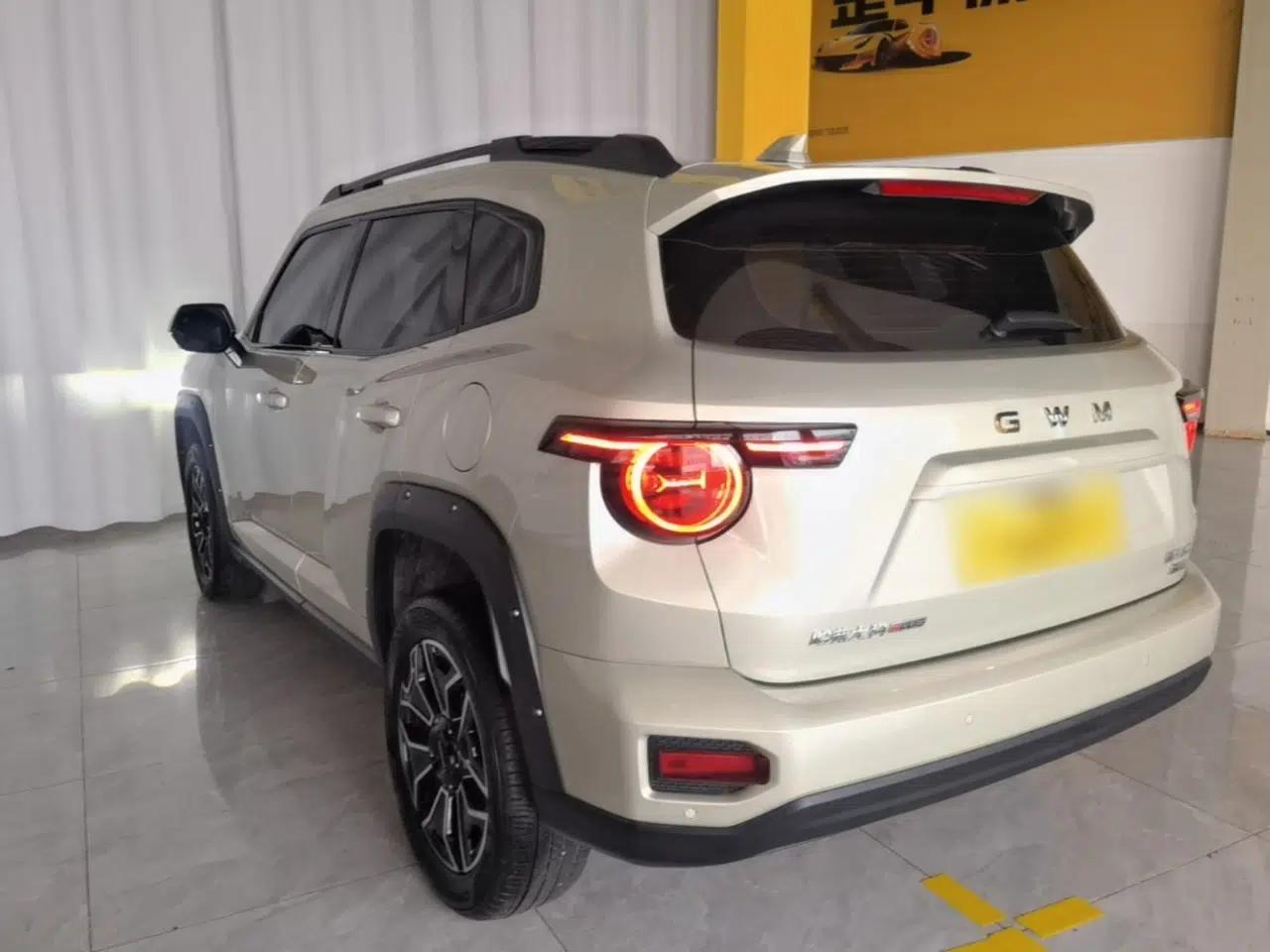 Haval H Dog New Energy 2026 Model Hi4 150km Trendy Electric Edition — миниатюра 4