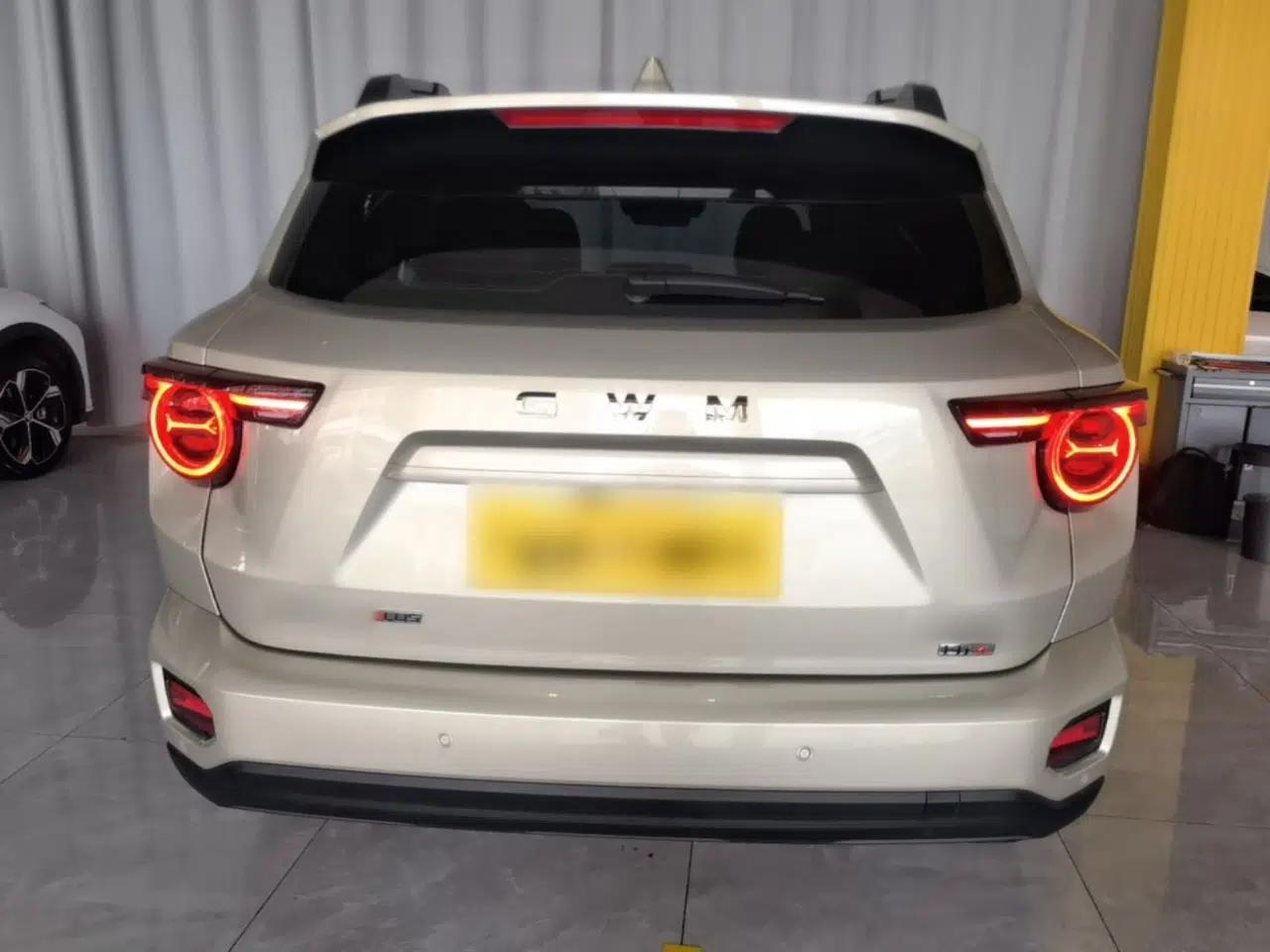 Haval H Dog New Energy 2026 Model Hi4 150km Trendy Electric Edition — миниатюра 5