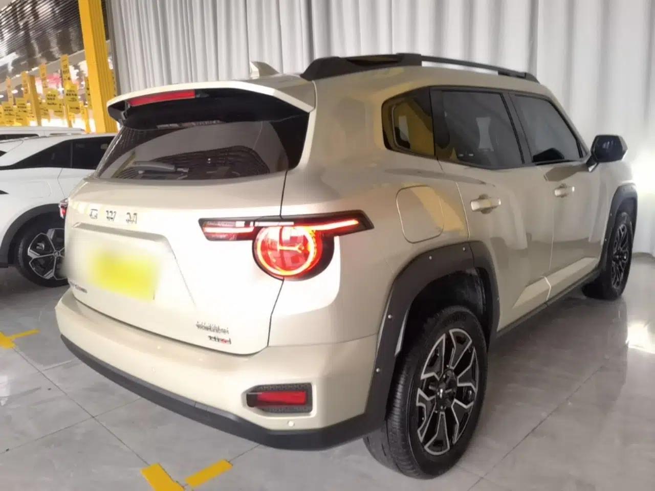 Haval H Dog New Energy 2026 Model Hi4 150km Trendy Electric Edition — миниатюра 6
