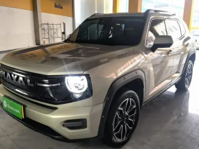 Haval H Dog New Energy 2026 Model Hi4 150km Trendy Electric Edition