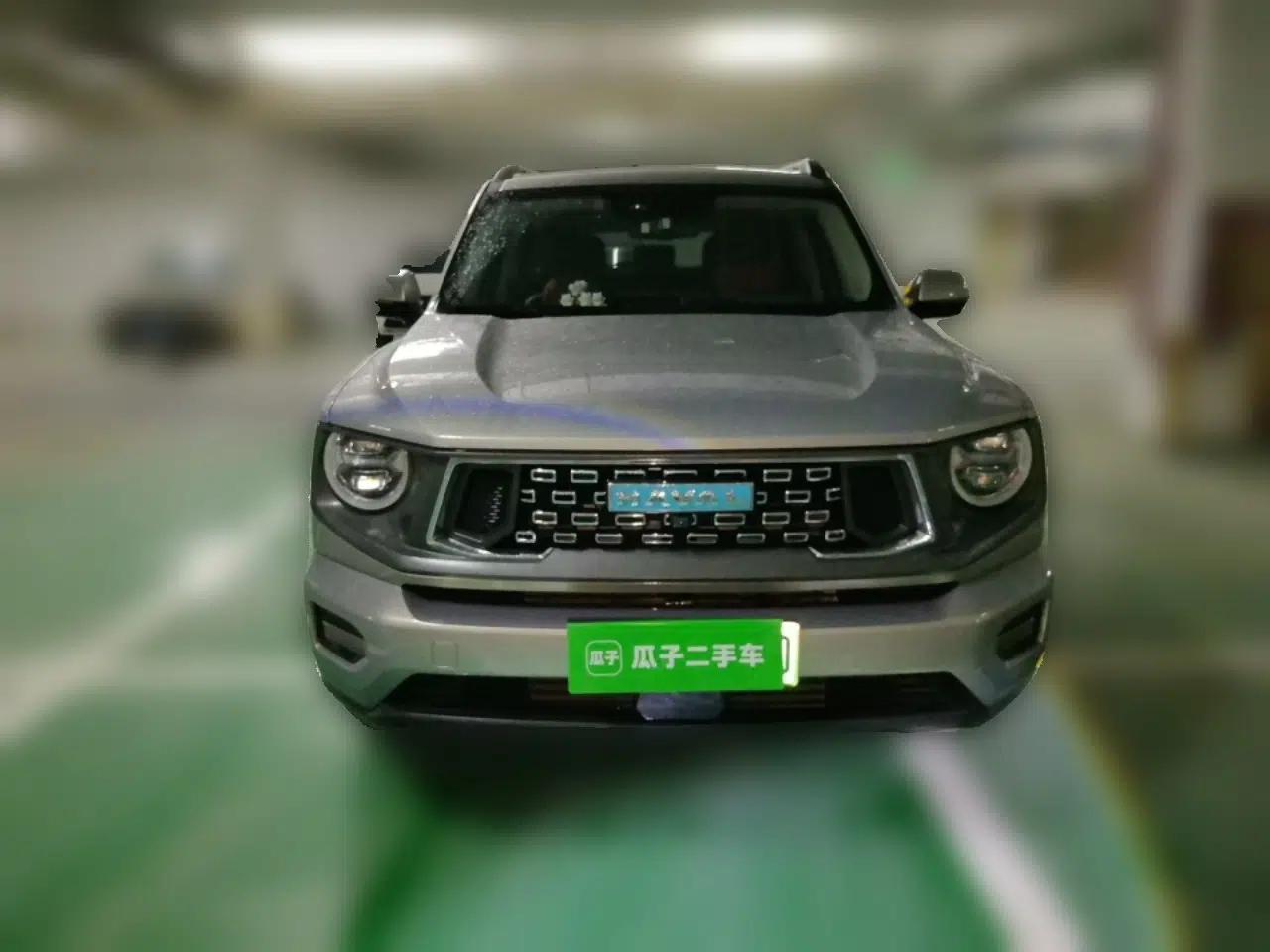 Haval H Dog New Energy 2023 DHT-PHEV 105km Tide Electric Version Plus — миниатюра 2