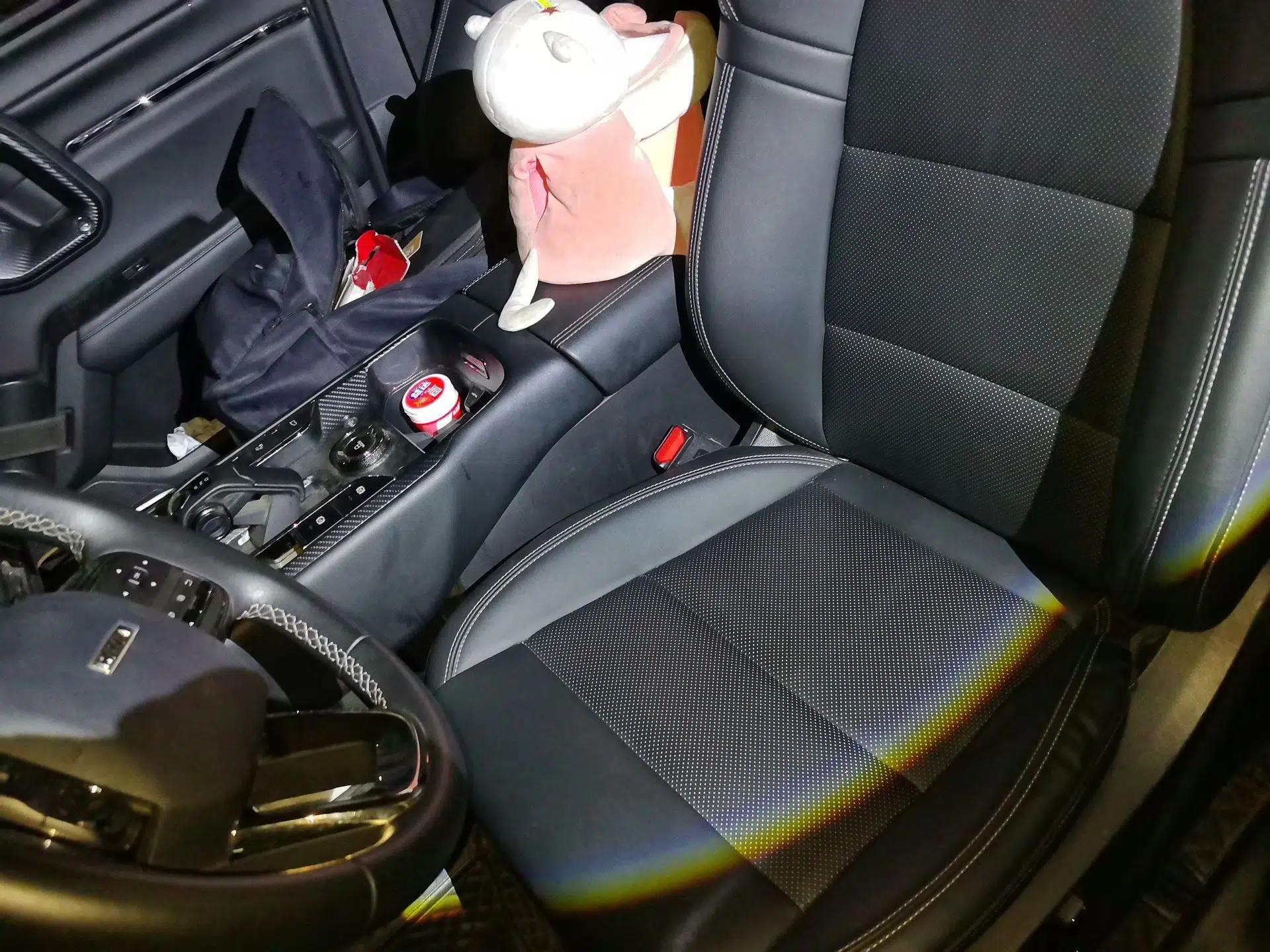 Haval H Dog New Energy 2023 DHT-PHEV 105km Tide Electric Version Plus — миниатюра 16