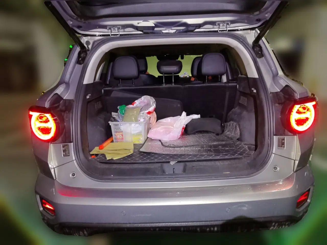 Haval H Dog New Energy 2023 DHT-PHEV 105km Tide Electric Version Plus — миниатюра 20