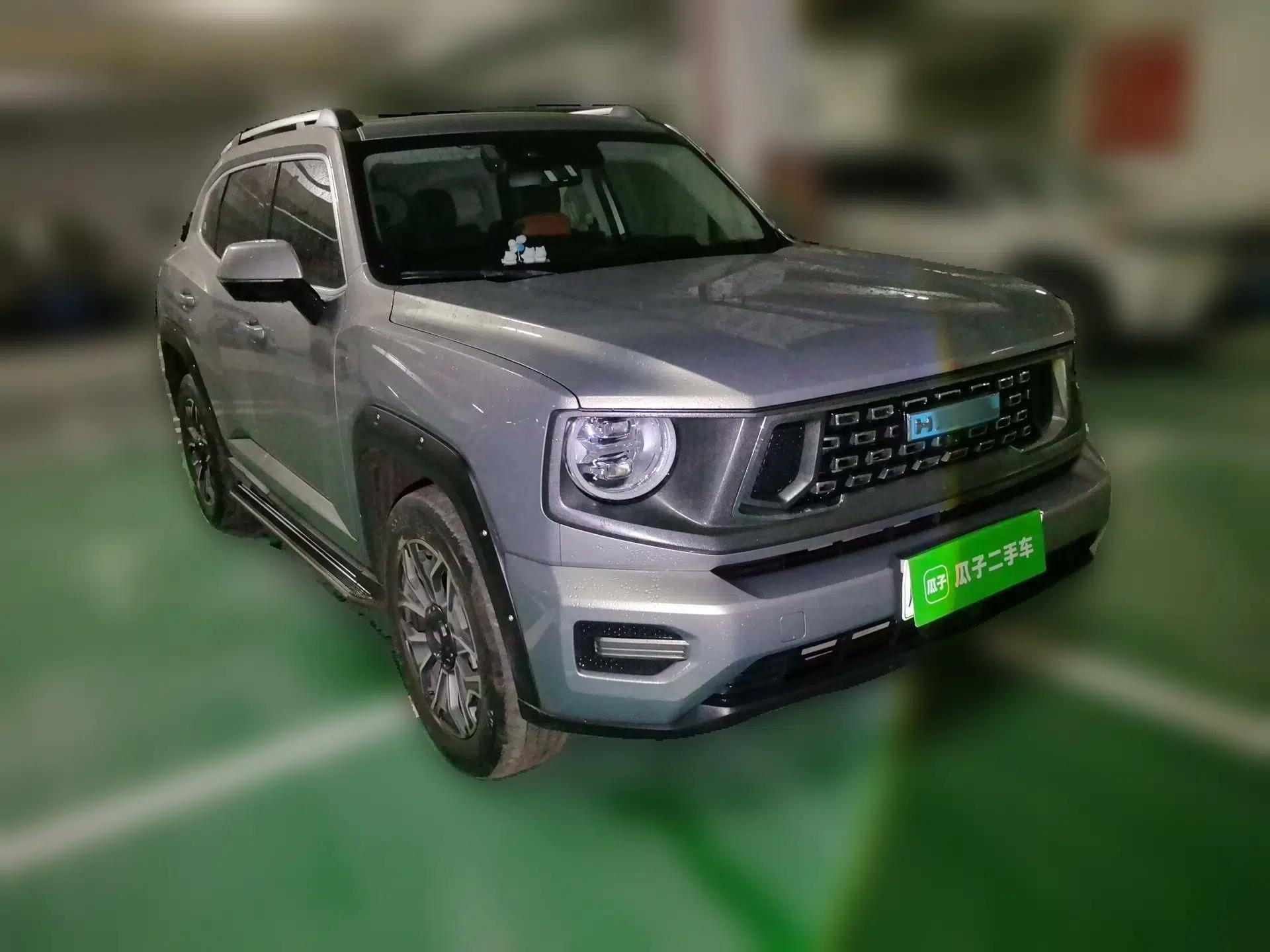 Haval H Dog New Energy 2023 DHT-PHEV 105km Tide Electric Version Plus — миниатюра 3