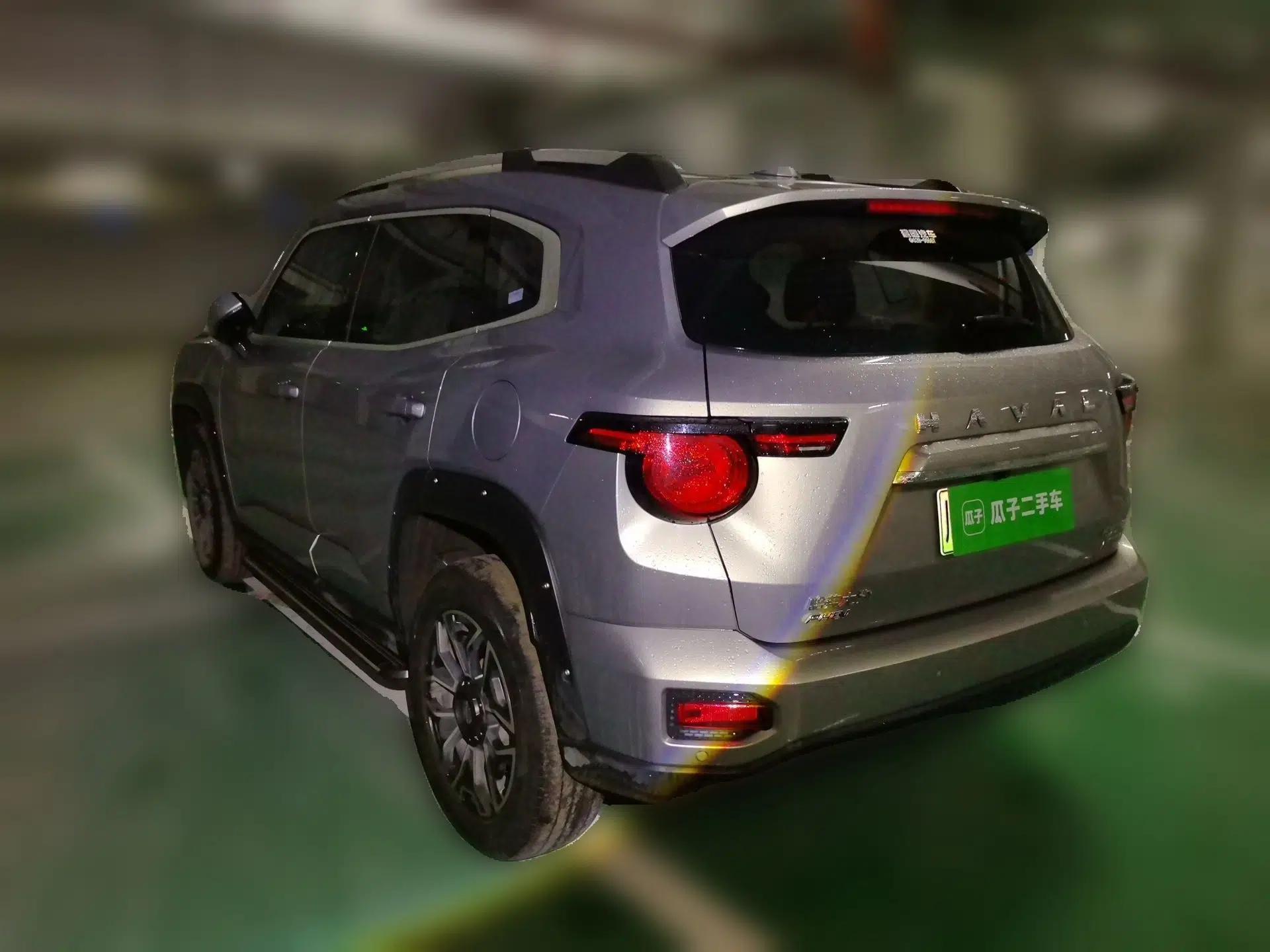 Haval H Dog New Energy 2023 DHT-PHEV 105km Tide Electric Version Plus — миниатюра 4