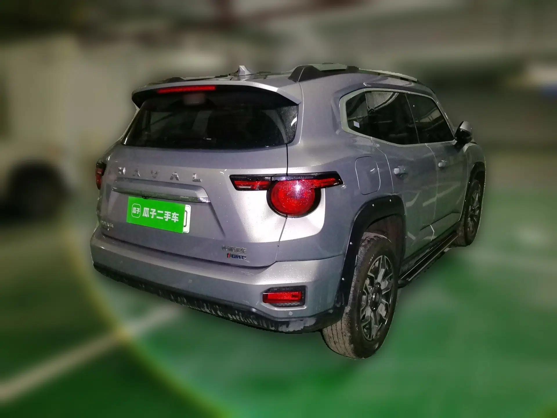Haval H Dog New Energy 2023 DHT-PHEV 105km Tide Electric Version Plus — миниатюра 6
