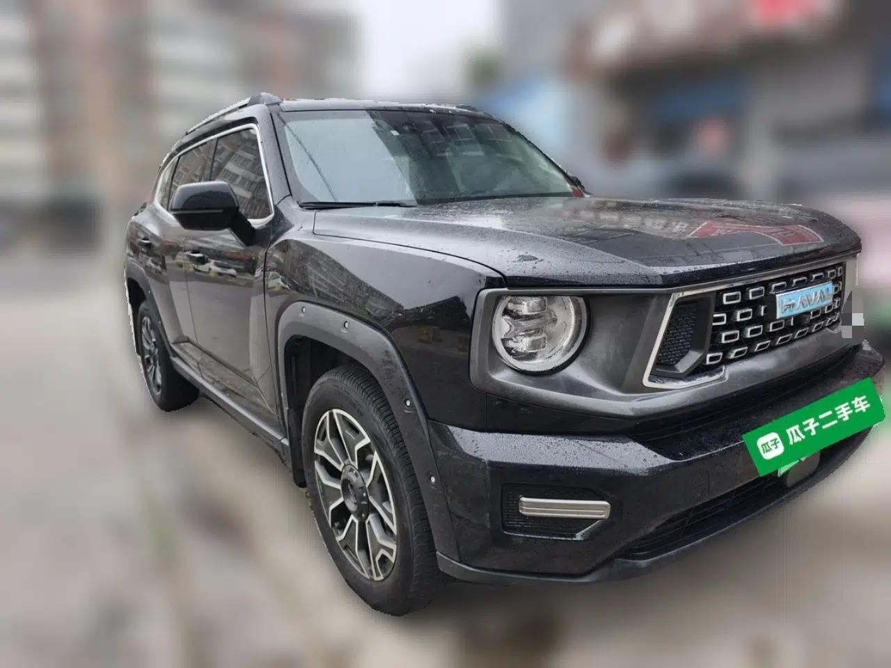 Haval H Dog New Energy 2023 DHT-PHEV 105km Tide Electric Version Plus — миниатюра 3