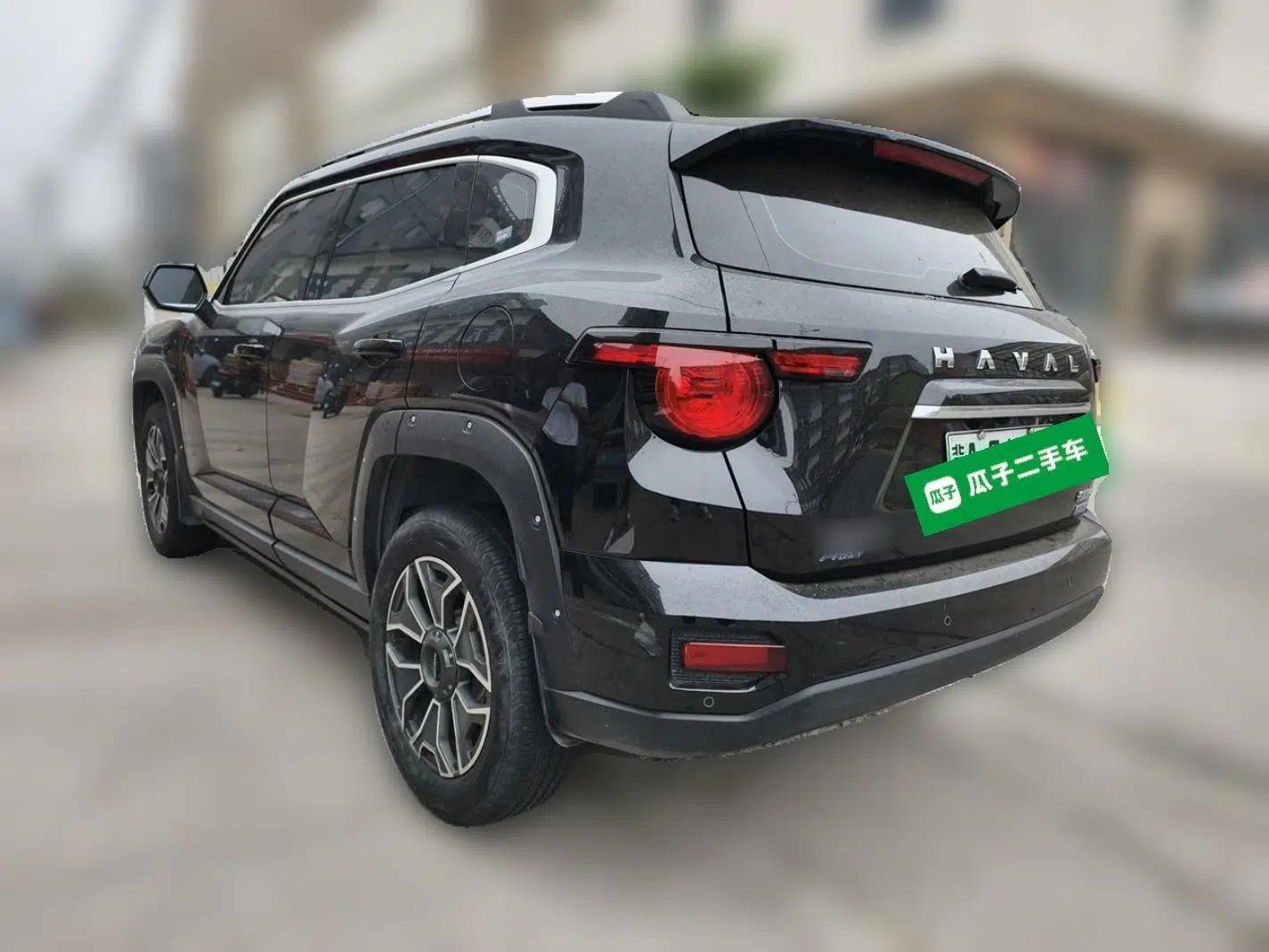 Haval H Dog New Energy 2023 DHT-PHEV 105km Tide Electric Version Plus — миниатюра 4