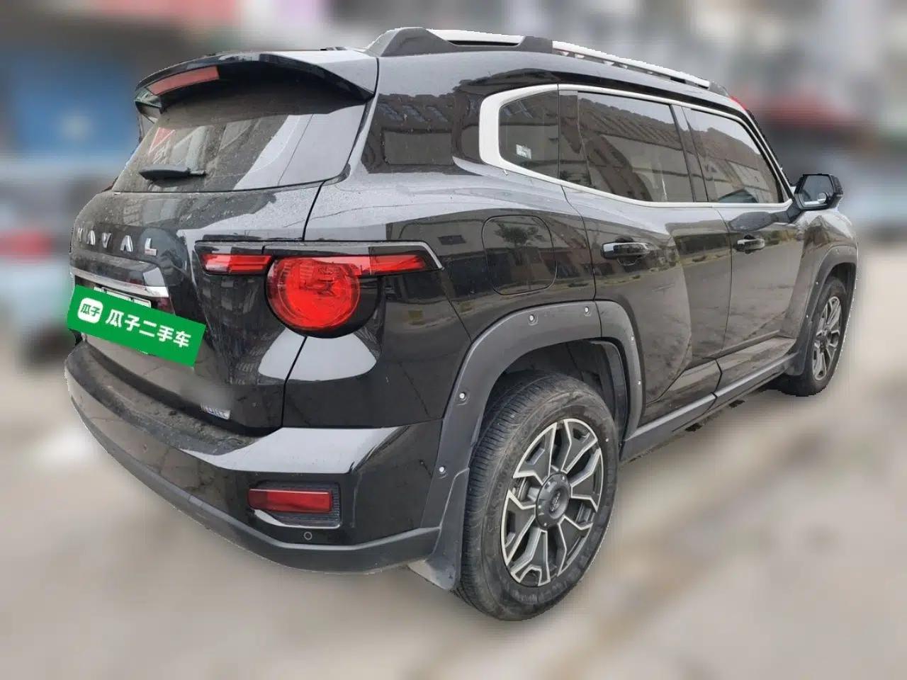 Haval H Dog New Energy 2023 DHT-PHEV 105km Tide Electric Version Plus — миниатюра 6