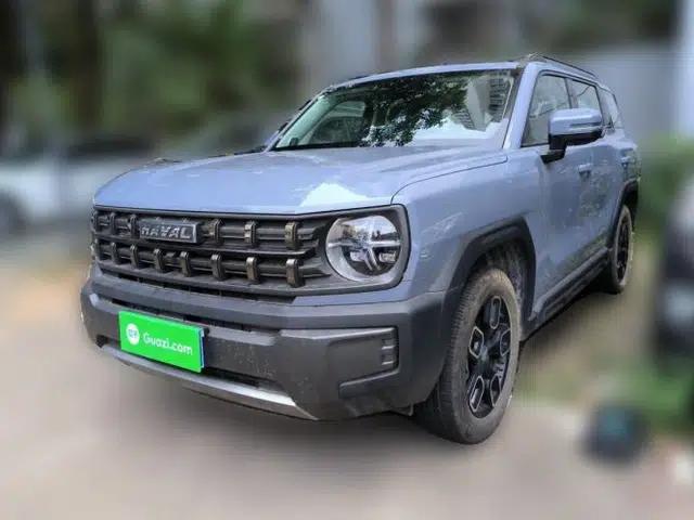 Haval X DOG 2022 1.5T DCT Two-Wheel Drive Trendy Edition