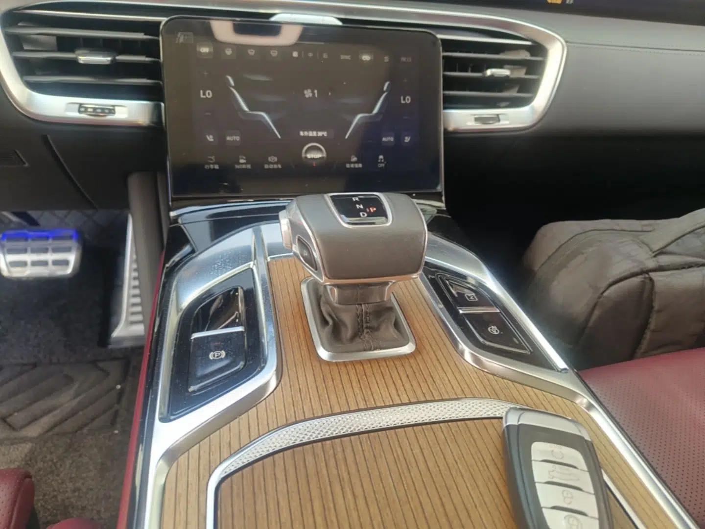 Hongqi E-HS9 2021 510 km Range Flagway Edition Six Seats — миниатюра 17