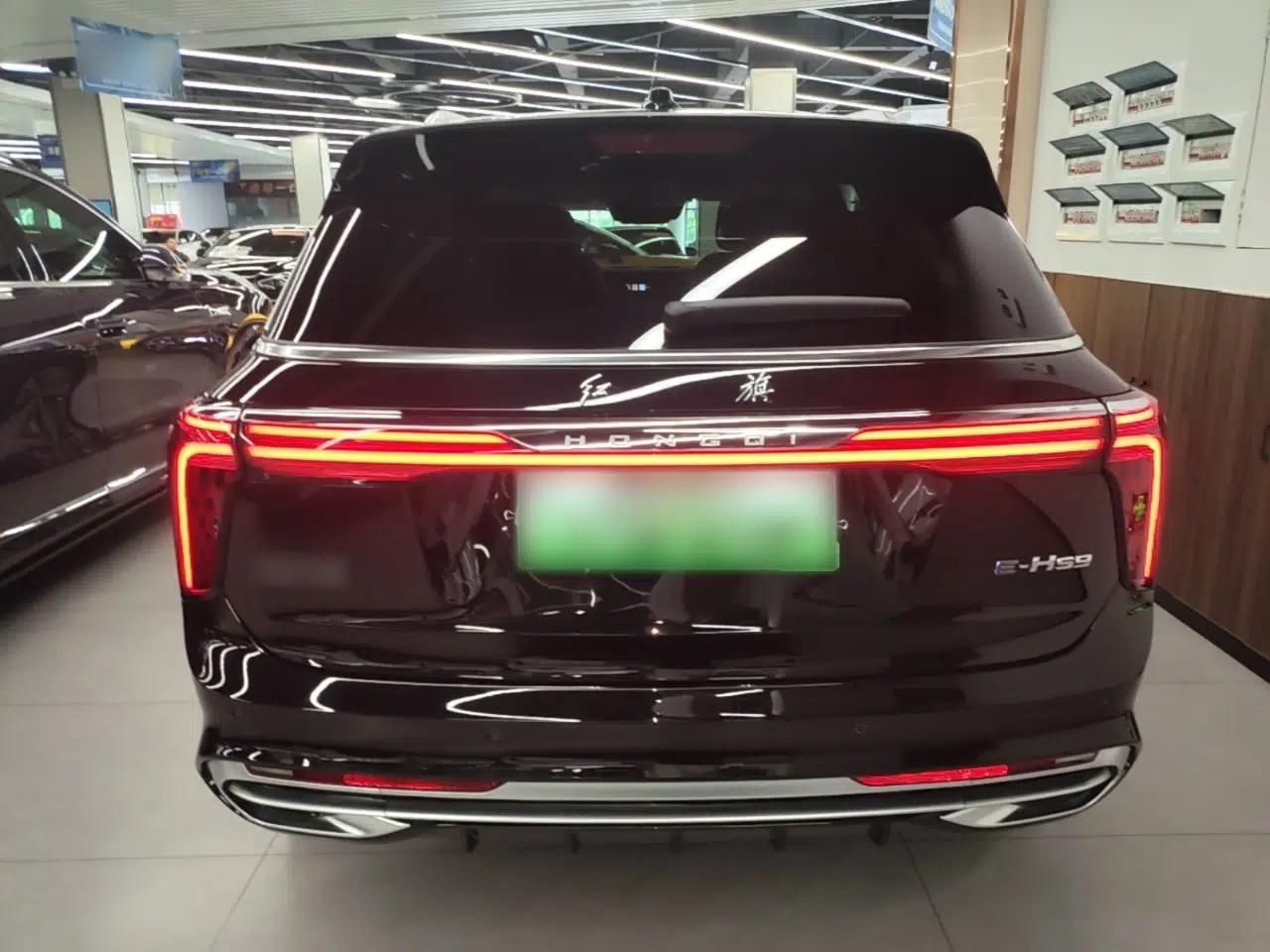 Hongqi E-HS9 2022 690 km Range Flagship Edition Six Seats — миниатюра 3