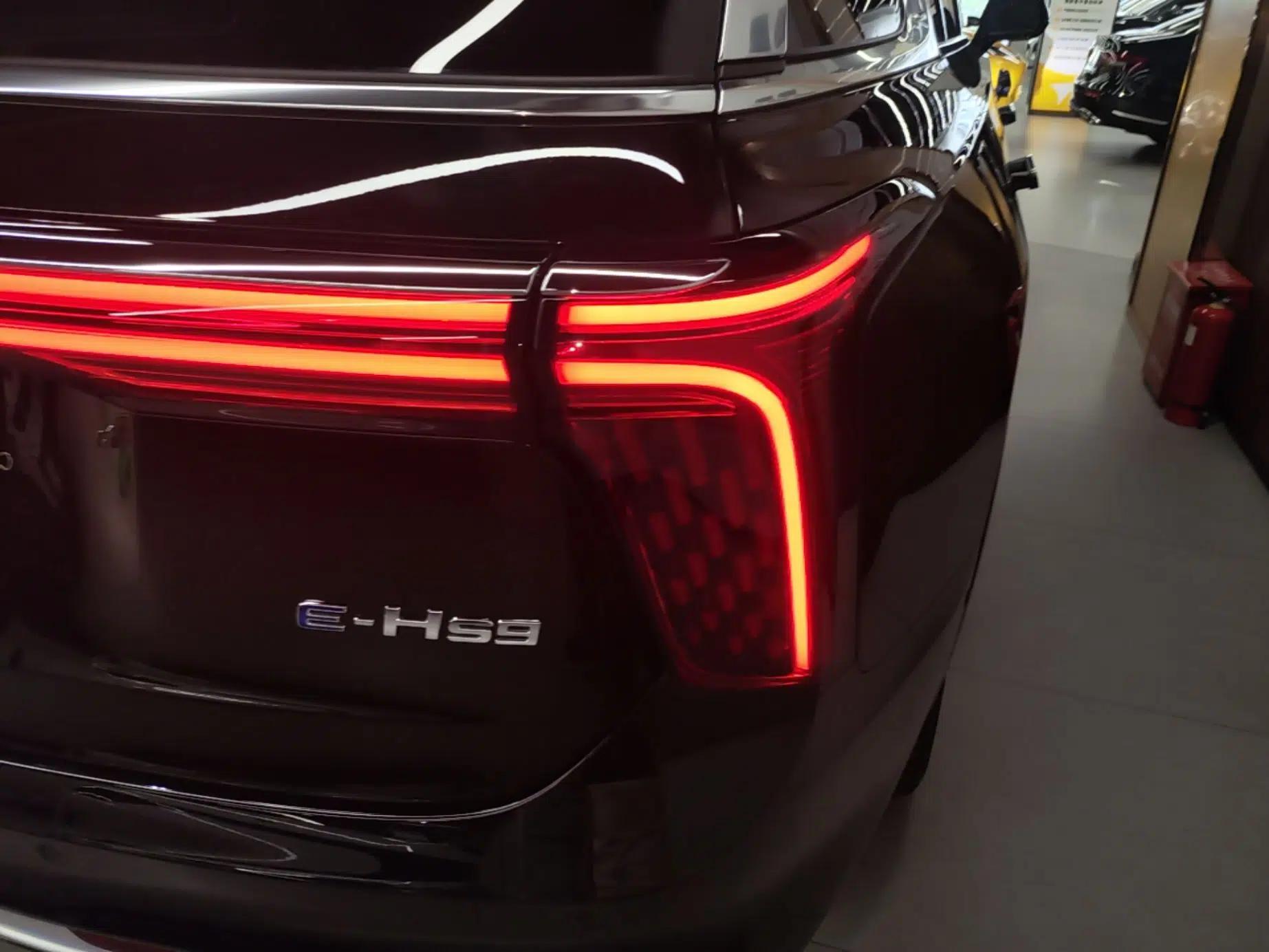 Hongqi E-HS9 2022 690 km Range Flagship Edition Six Seats — миниатюра 8