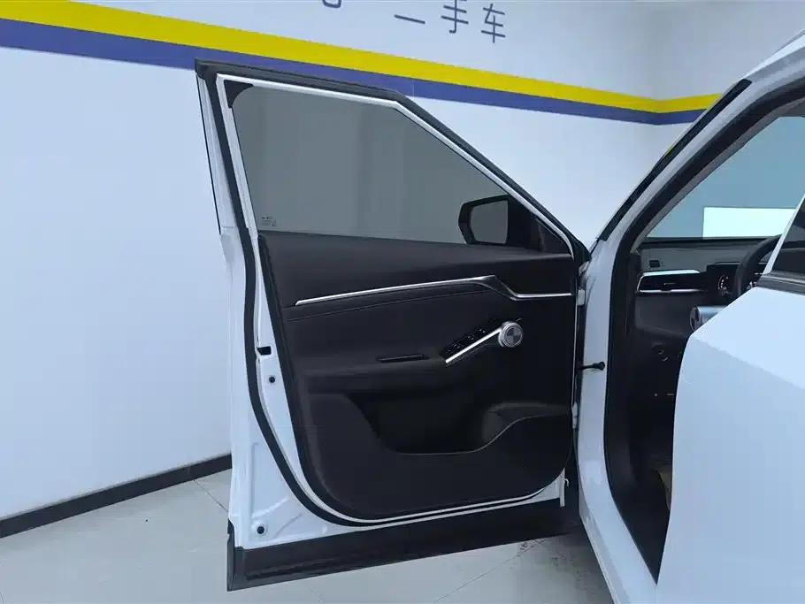 2022 Cineco 2.0ATK Twin Star Pro Edition — миниатюра 7
