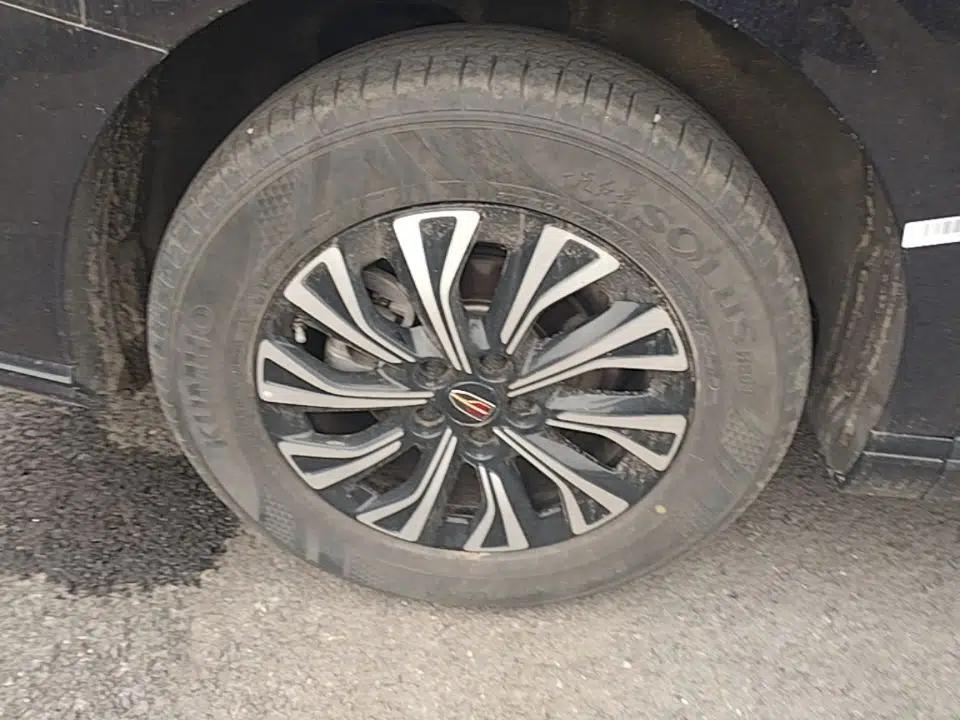 Hongqi HQ9 PHEV 2024 2.0T Four-Wheel Drive Business Edition — миниатюра 10