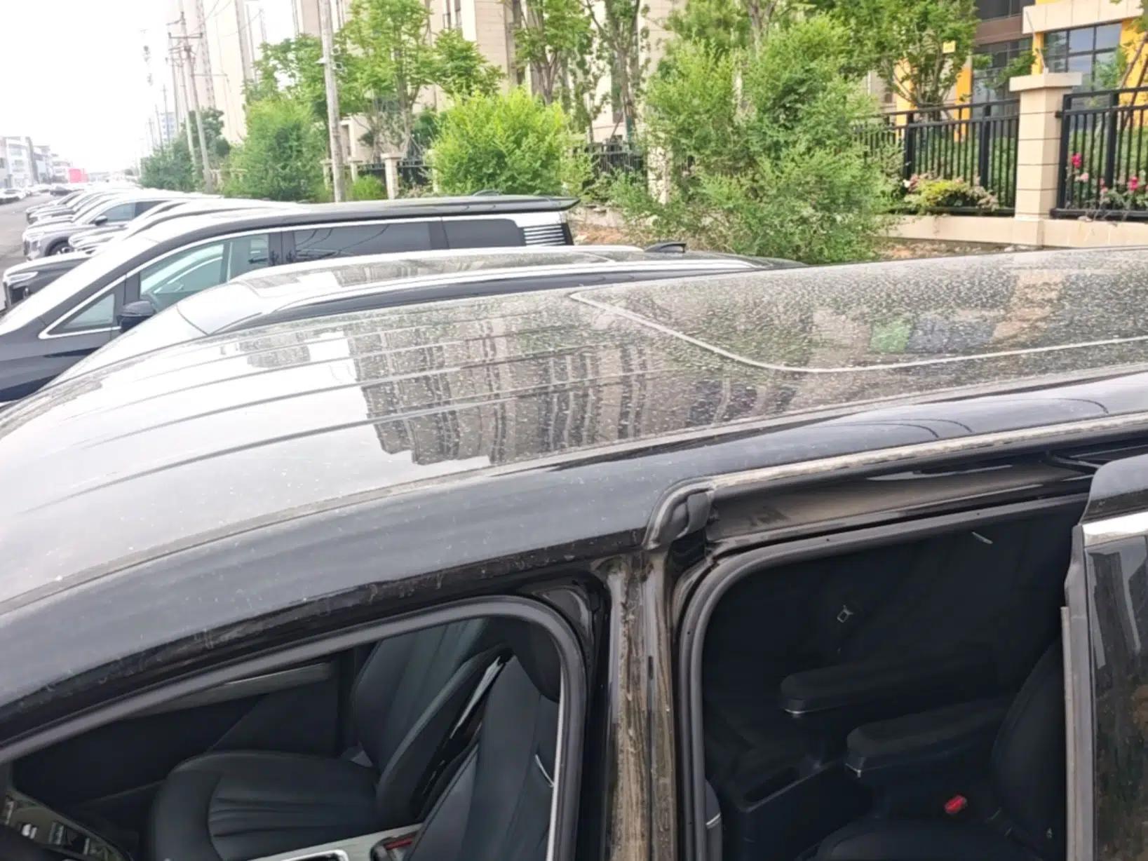 Hongqi HQ9 PHEV 2024 2.0T Four-Wheel Drive Business Edition — миниатюра 11