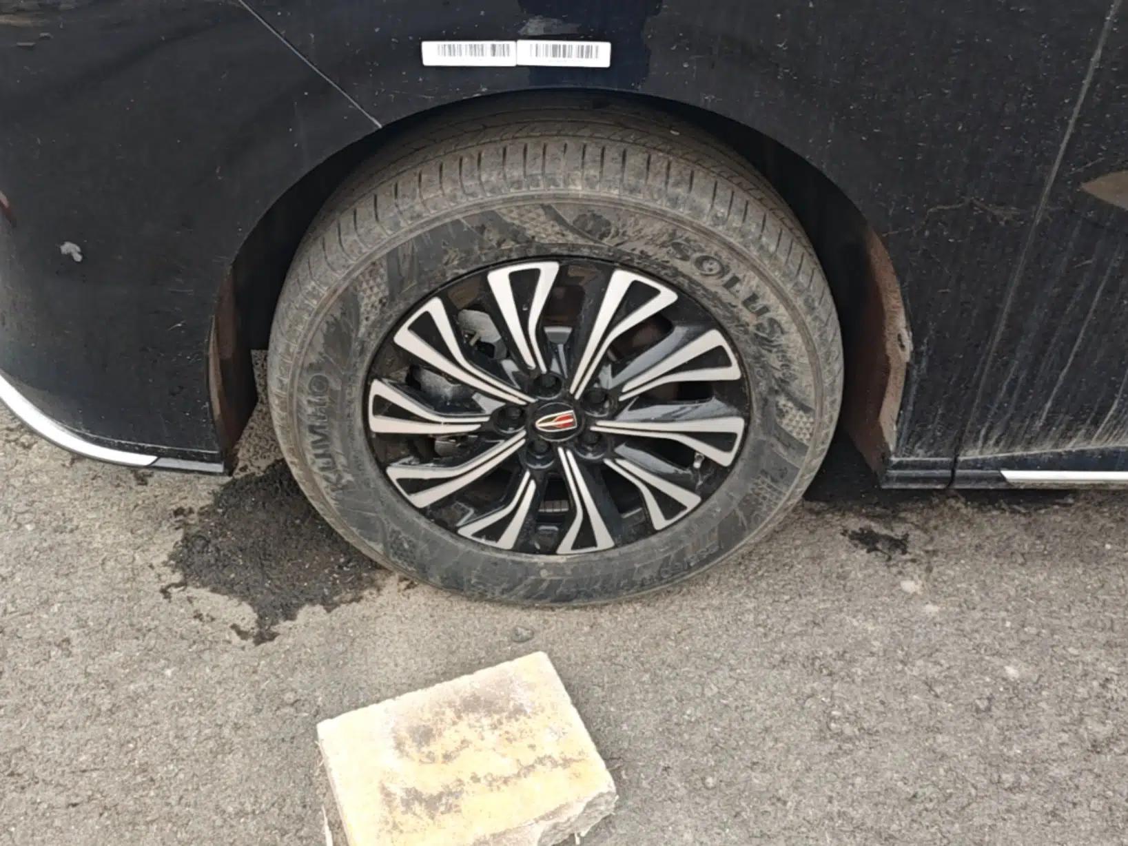 Hongqi HQ9 PHEV 2024 2.0T Four-Wheel Drive Business Edition — миниатюра 8