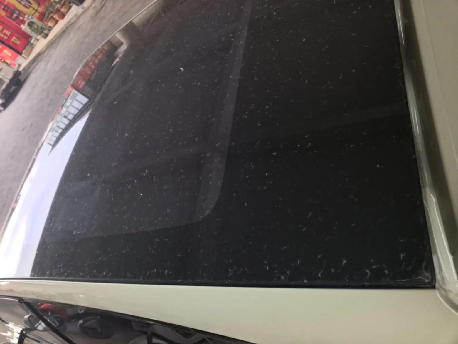 Hongqi Tiangong 06 2025 520 Smart Selection Edition — миниатюра 11