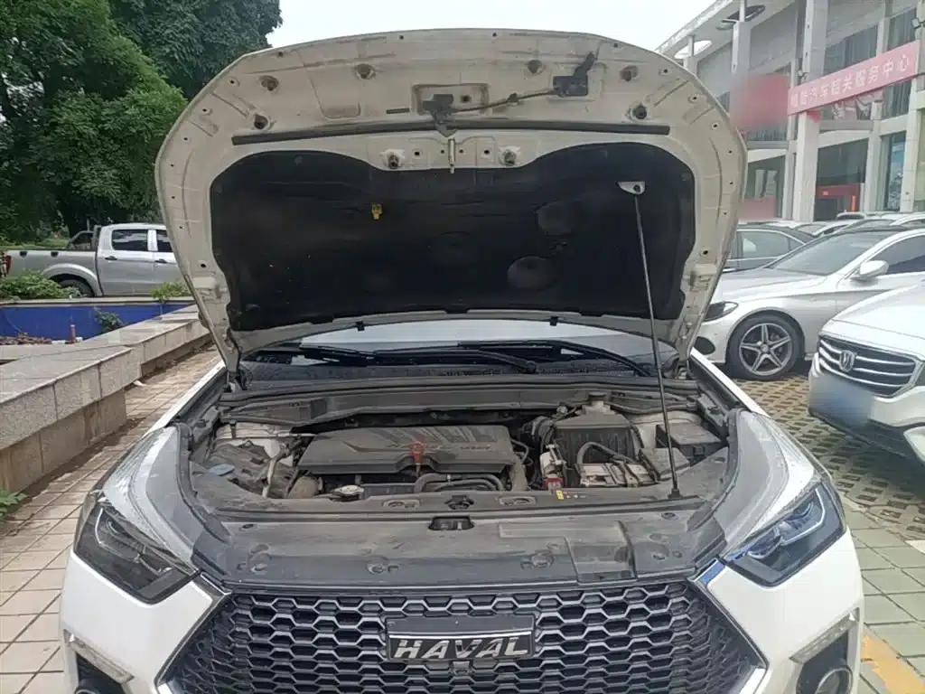 Haval H6 Coupe 2019 1.5T Automatic 2WD Luxury Intelligent Edition (China VI Emission Standard) — миниатюра 20