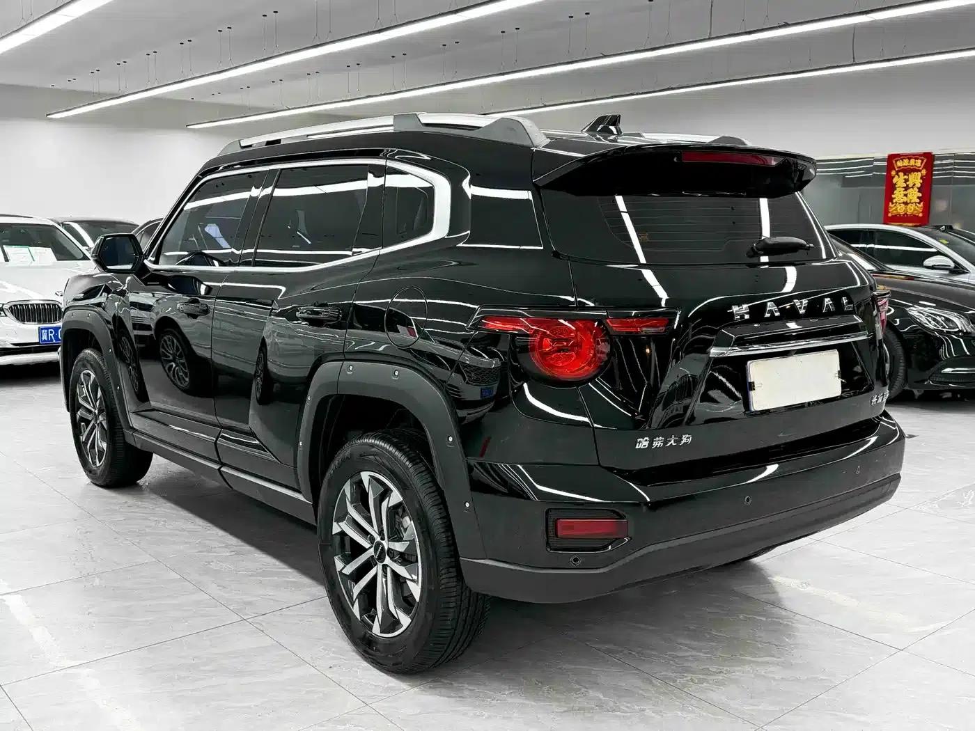 Haval Big Dog PLUS 2023 2.0T 2WD Trendy Wild Edition Plus — миниатюра 6