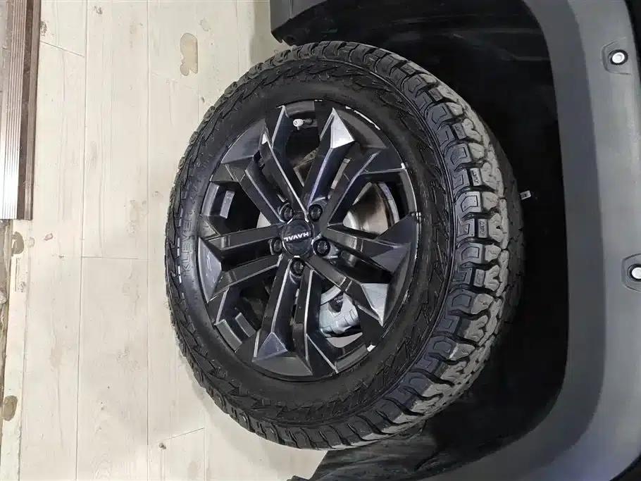 Haval Big Dog PLUS 2023 2.0T 4WD Trendy Wild Plus — миниатюра 6