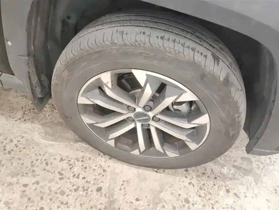 Haval Big Dog PLUS 2023 2.0T 4WD Trendy Wild Plus — миниатюра 6