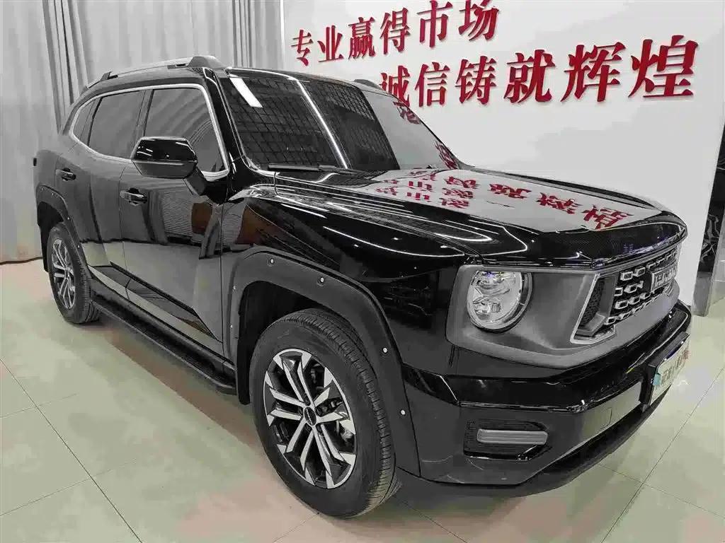Haval Big Dog PLUS 2023 2.0T 4WD Trendy Wild Plus — миниатюра 3