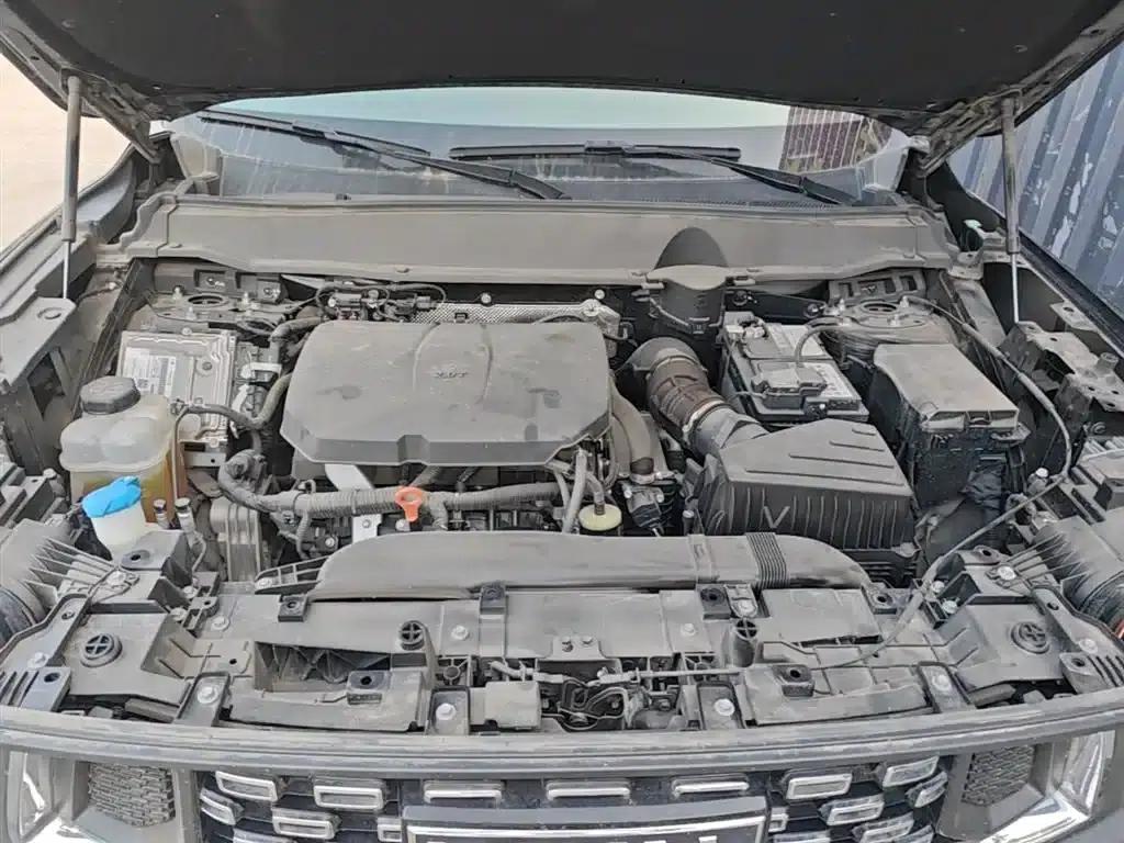 Haval Big Dog PLUS 2023 2.0T 2WD Trendy Wild Edition Plus — миниатюра 20