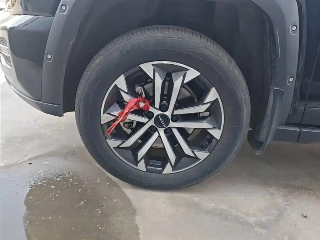 Haval Big Dog PLUS 2023 2.0T 2WD Trendy Wild Edition Plus — миниатюра 23