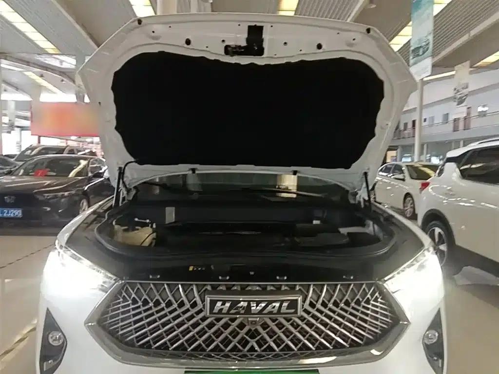 Haval F7x 2021 2.0T Two-Wheel Drive Intelligent Technology Edition — миниатюра 20