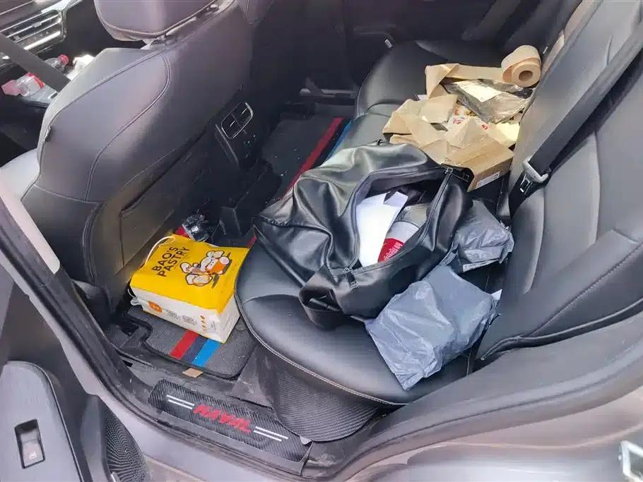 Haval Chitu 2022 Enjoy Edition 1.5T Bronze Rabbit — миниатюра 11