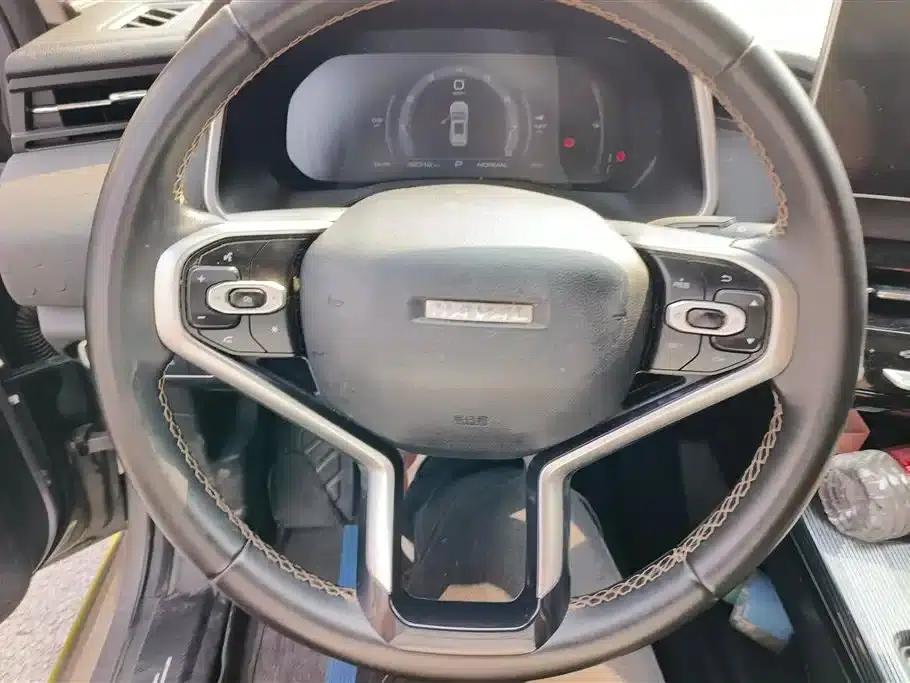 Haval Chitu 2022 Enjoy Edition 1.5T Bronze Rabbit — миниатюра 15