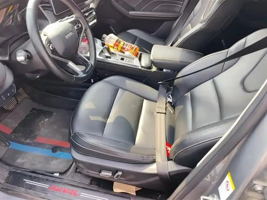 Haval Chitu 2022 Enjoy Edition 1.5T Bronze Rabbit — миниатюра 9