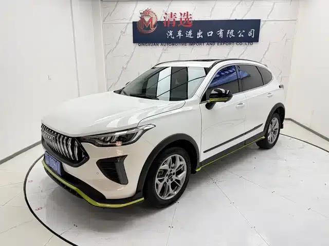 Haval Chitu 2022 Enjoy Edition 1.5T Bronze Rabbit