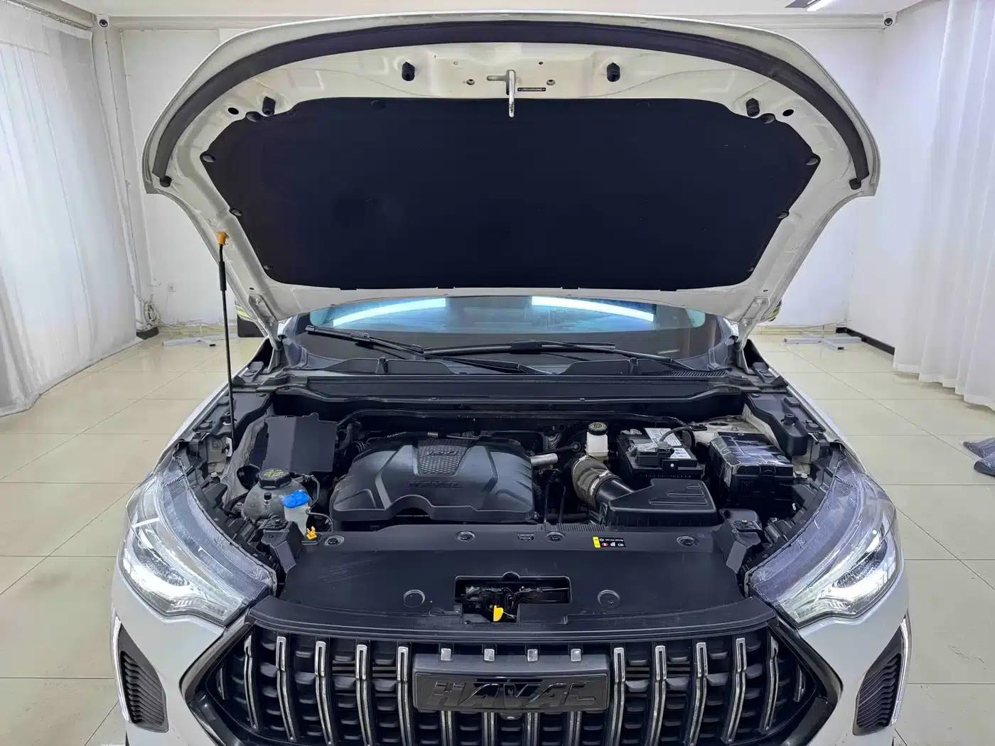 Haval Chitu 2022 Enjoy Edition 1.5T Bronze Rabbit — миниатюра 19