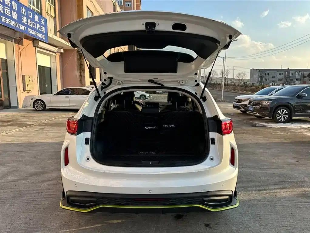 Haval Chitu 2022 Enjoy Edition 1.5T Bronze Rabbit — миниатюра 20