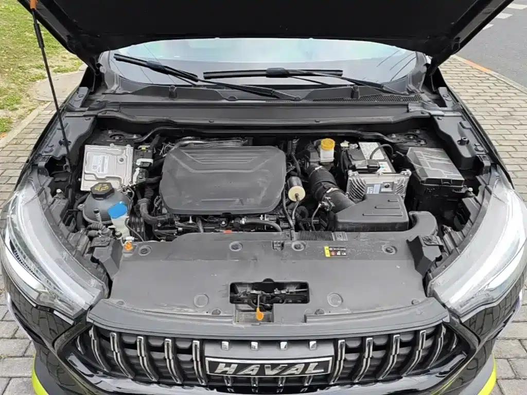 Haval Chitu 2021 Sport Edition 1.5T Platinum Rabbit — миниатюра 20