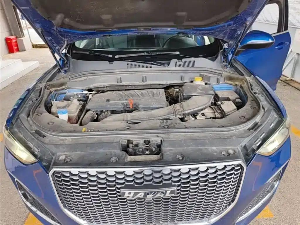 Haval F5 2019 National Trend Edition 1.5T i-type National VI — миниатюра 20