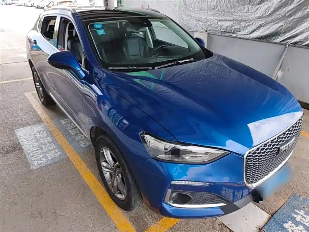 Haval F5 2019 National Trend Edition 1.5T i-type National VI — миниатюра 4