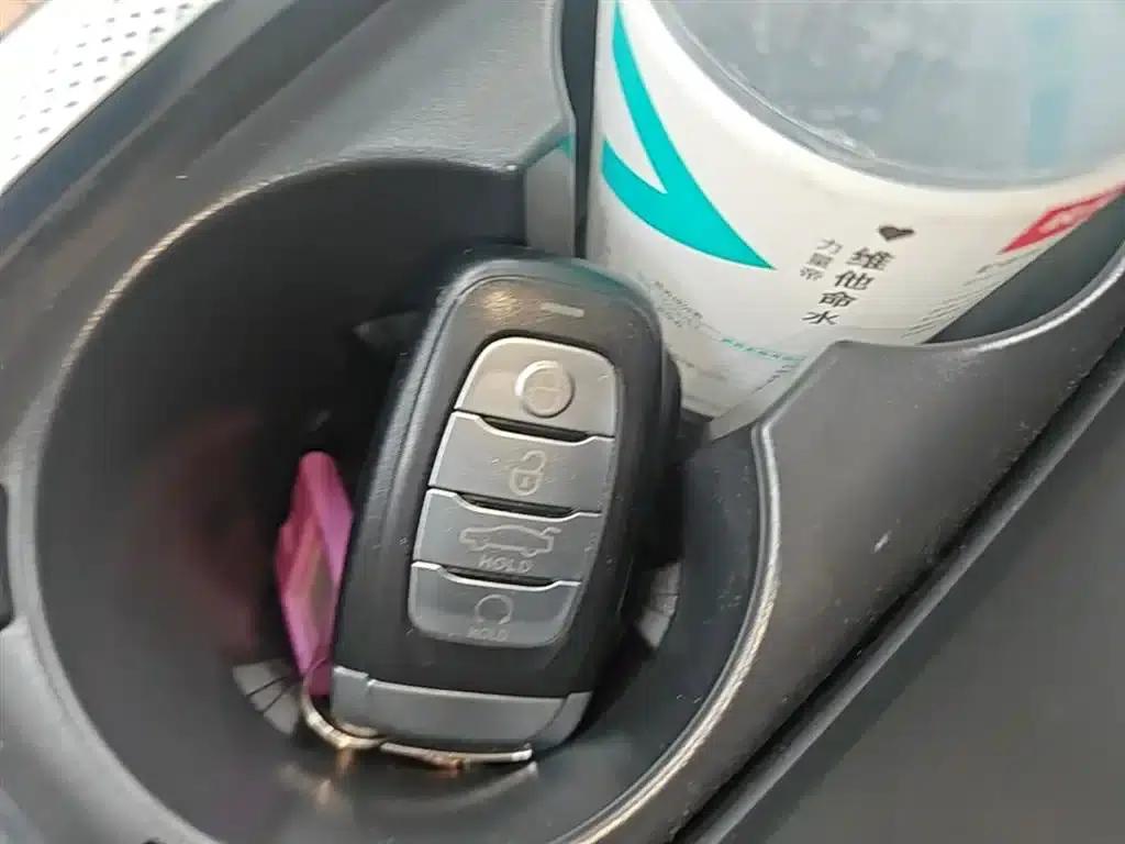Hongqi E-HS9 2021 Model 460km Flagship Edition (Six Seats) — миниатюра 9